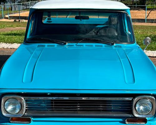chevrolet-c14-1976-azul-morrinhos-go-3