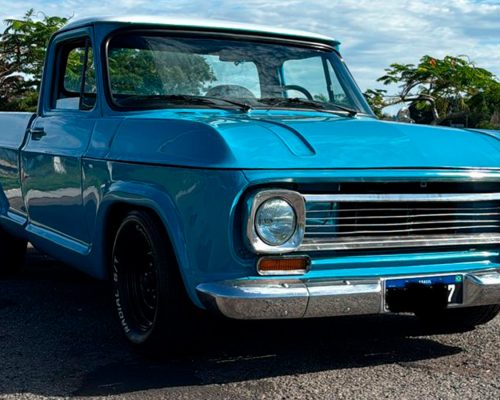 chevrolet-c14-1976-azul-morrinhos-go-4