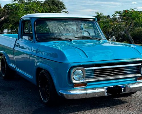chevrolet-c14-1976-azul-morrinhos-go-5