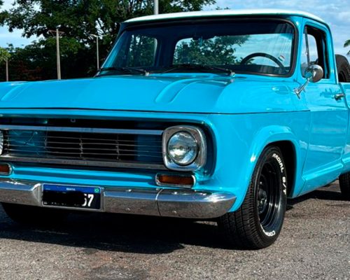 chevrolet-c14-1976-azul-morrinhos-go-8