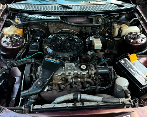 chevrolet-monza-1991-marrom-indaial-santa-catarina-12