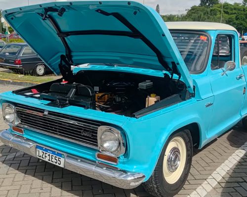 chevrolet_c14_1976_azul-sao-paulo-sp-3