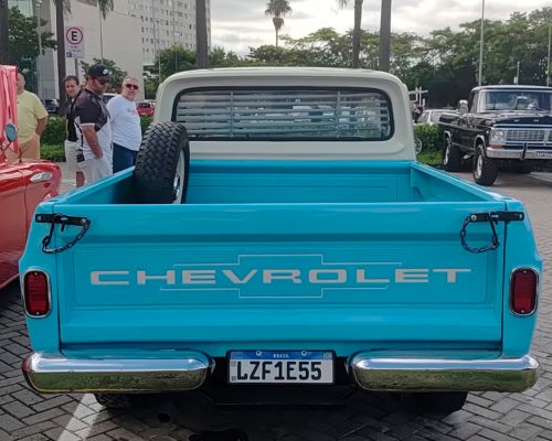 chevrolet_c14_1976_azul-sao-paulo-sp-4