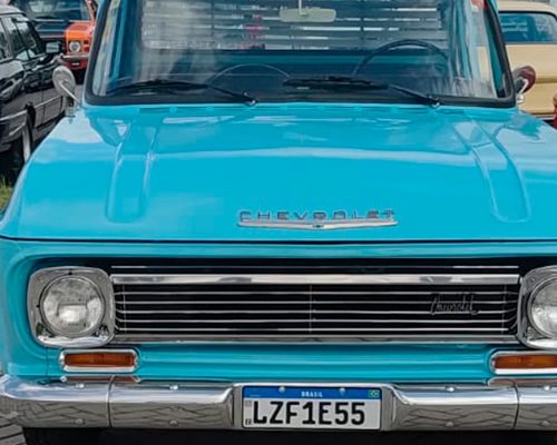 chevrolet_c14_1976_azul-sao-paulo-sp-5