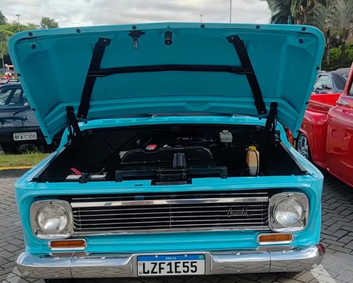 chevrolet_c14_1976_azul-sao-paulo-sp-6