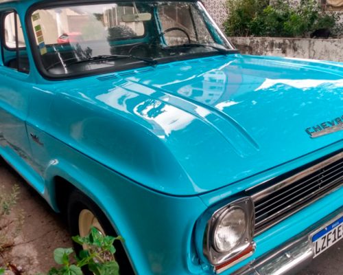 chevrolet_c14_1976_azul-sao-paulo-sp-8