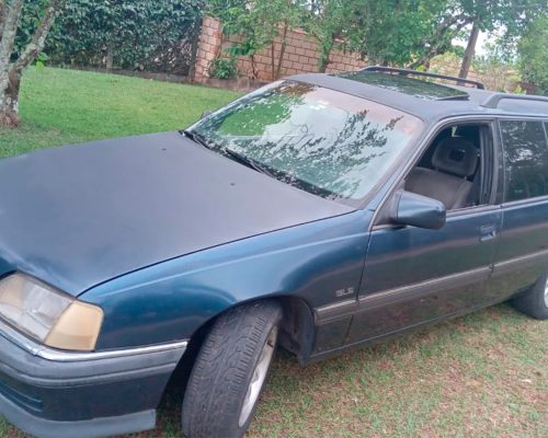 chevrolet_omega_suprema_azul_1995_sao_paulo_sp_1