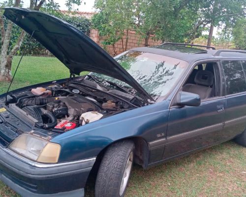 chevrolet_omega_suprema_azul_1995_sao_paulo_sp_2