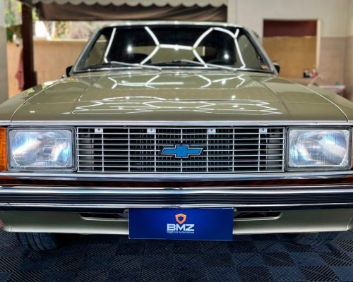 chevrolet_opala-soupe_1983_bege_indaial_sc_6
