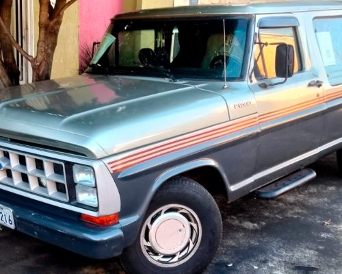 ford-f100-1987-cinza-sertaozinho-sp-1