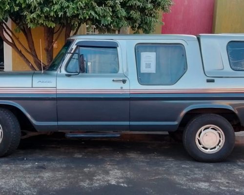 ford-f100-1987-cinza-sertaozinho-sp-2