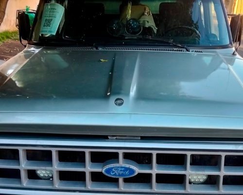 ford-f100-1987-cinza-sertaozinho-sp-3