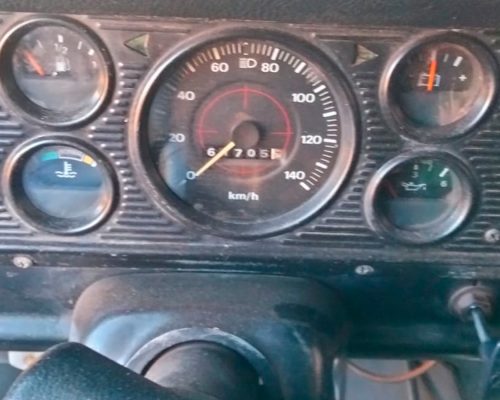 ford-f100-1987-cinza-sertaozinho-sp-5