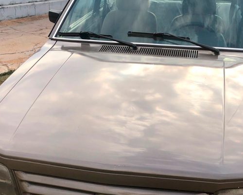 ford_del_rey_198_marrom_mogi_mirim_sp_5