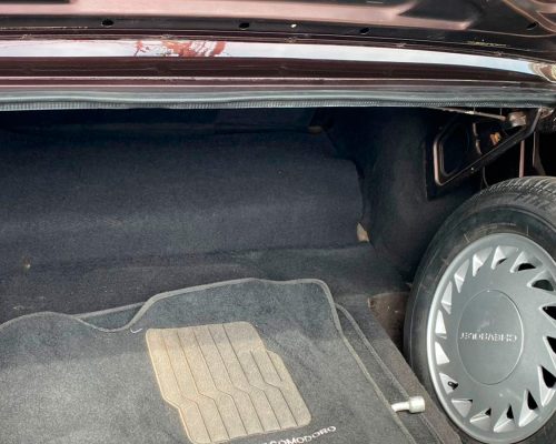 gm_opala_comodoro_1991_vinho_sao_paulo_sp_16