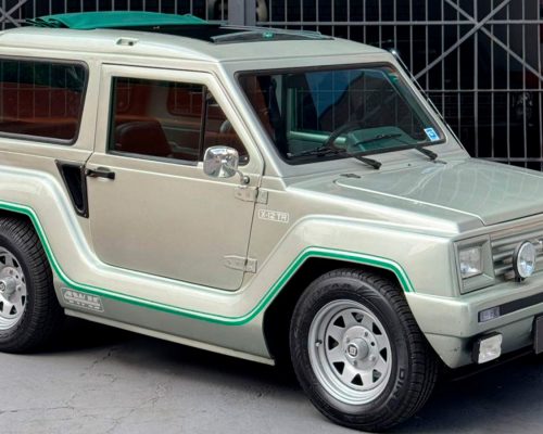 tocantins_gurgel_1990_cinza_sao_paulo_sp_1