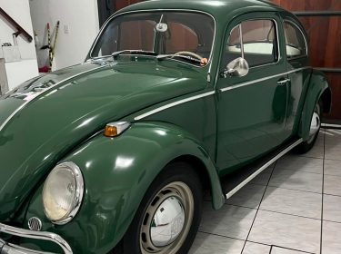 volkswagen-fusca-1969-verde-sao-paulo-sp-2