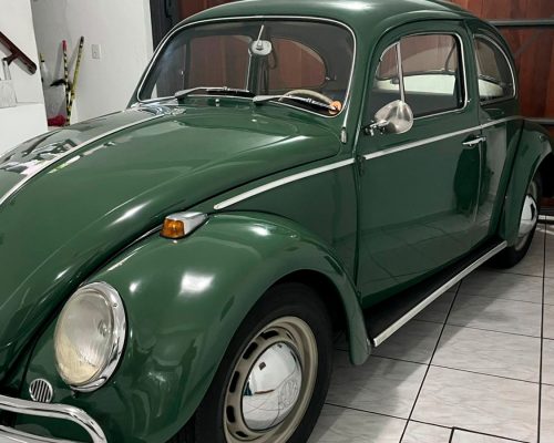 volkswagen-fusca-1969-verde-sao-paulo-sp-2