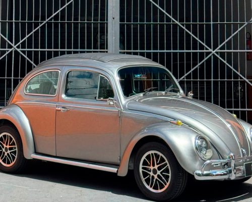 volkswagen-fusca-1974-prata-sao-paulo-sp-1
