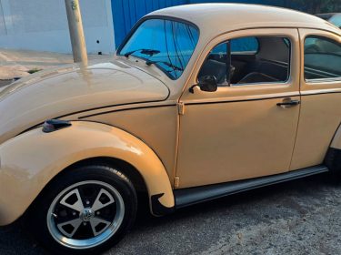 volkswagen-fusca-1984-bege-minas-gerias-mg-1