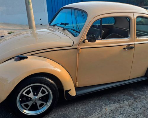 volkswagen-fusca-1984-bege-minas-gerias-mg-1