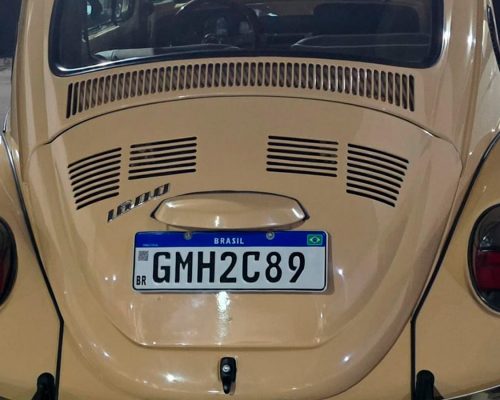volkswagen-fusca-1984-bege-minas-gerias-mg-3
