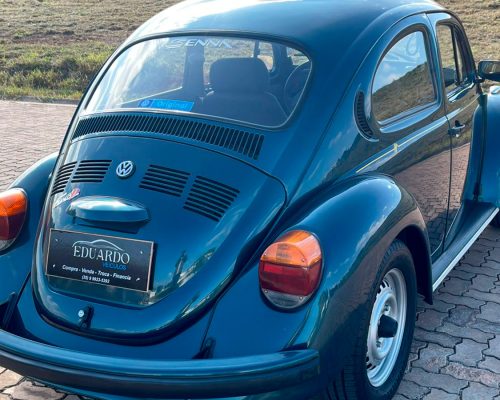 volkswagen-fusca-1995-azul-santa-rita-do-sapucai-mg-2