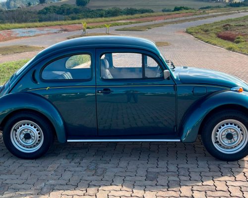 volkswagen-fusca-1995-azul-santa-rita-do-sapucai-mg-3