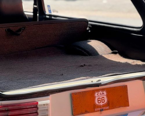 volkswagen-variant-1979-branco-soa-paulo-sp-6