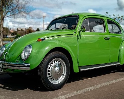 volkswagen_fusca_1975_verde_campo_largo_PR_8