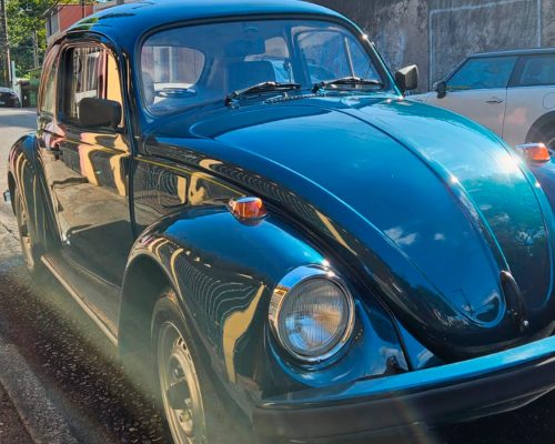 volkswagen_fusca_itamar_1995_azul_sao_paulo_sp_1