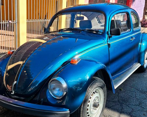 volkswagen_fusca_itamar_1995_azul_sao_paulo_sp_3