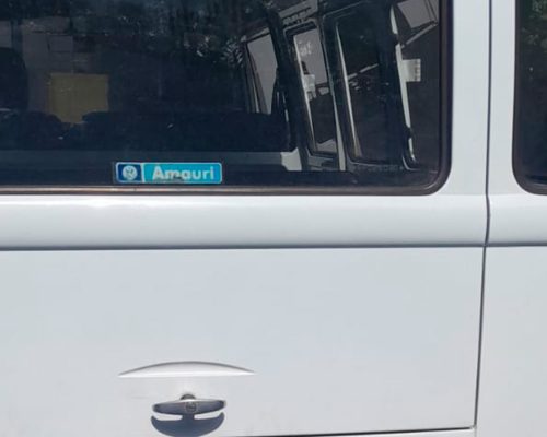 volkswagen_kombi_1995_sp_5