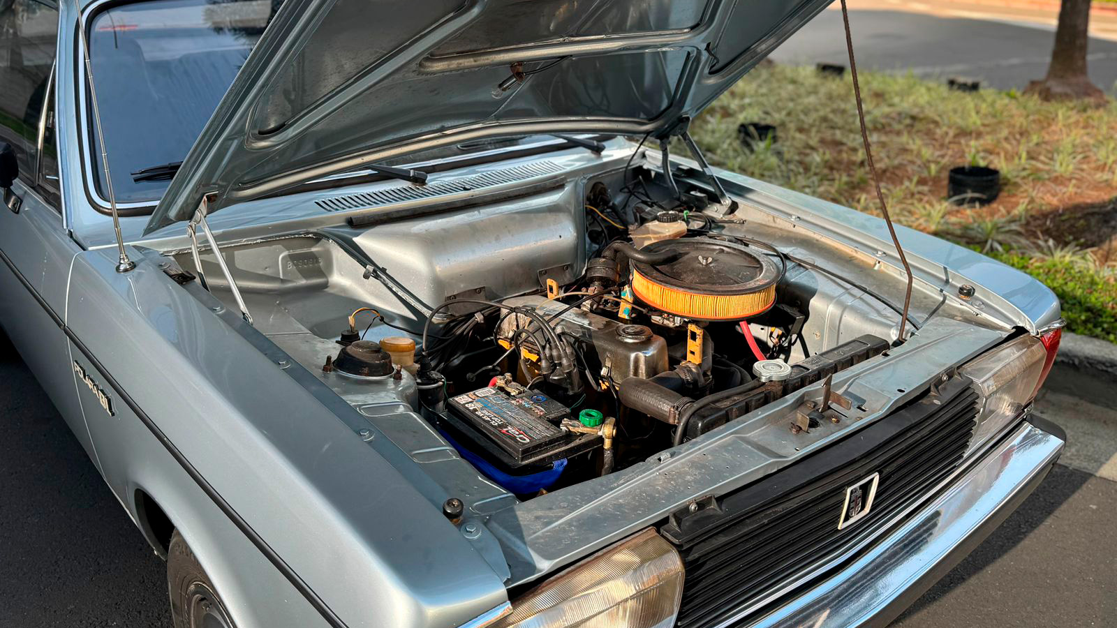 Polara GL