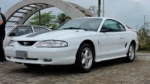 Mustang