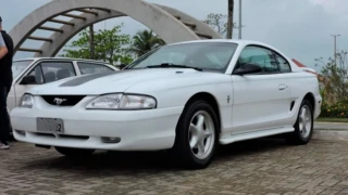 Mustang