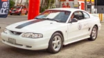 Mustang