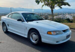 Mustang