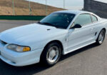 Mustang