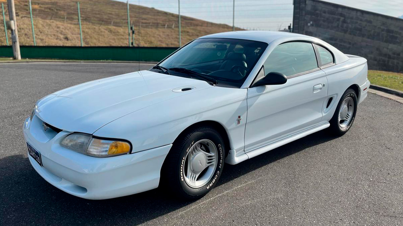 Mustang
