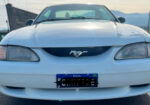 Mustang
