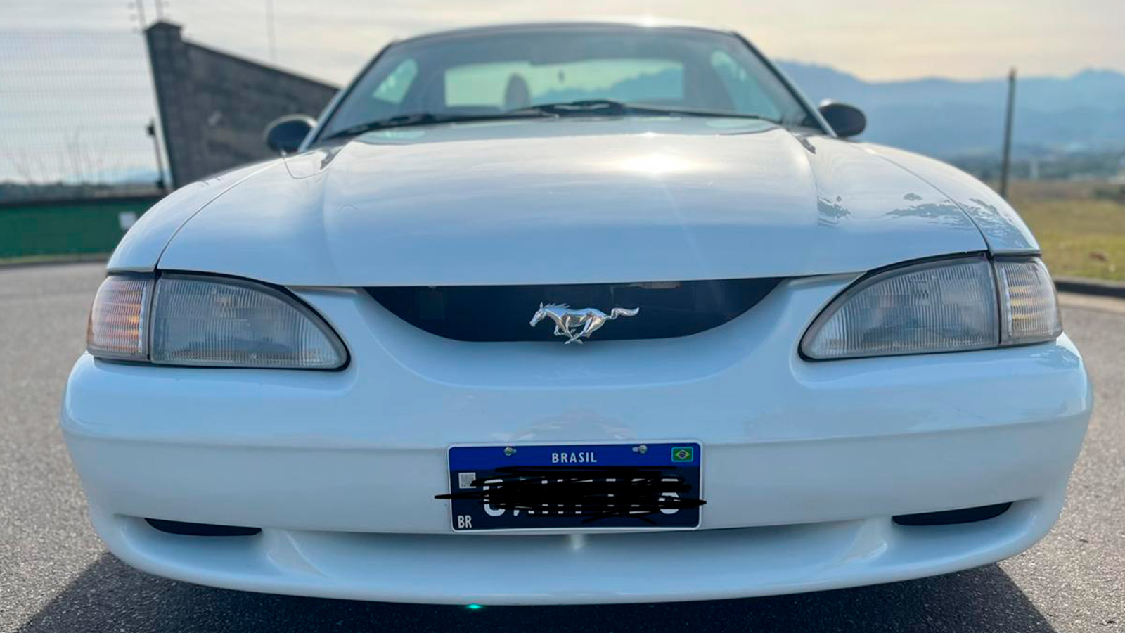 Mustang