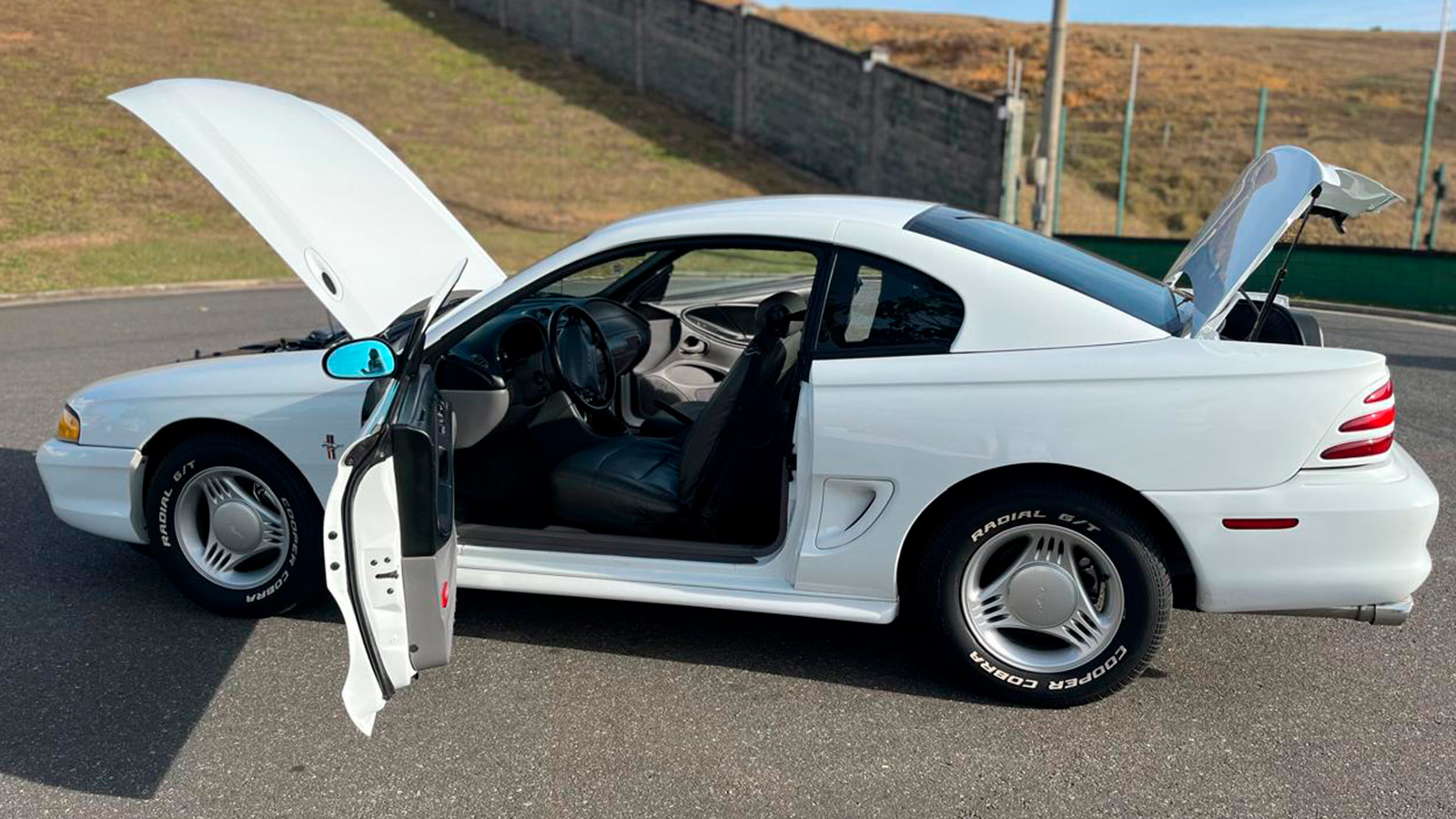 Mustang