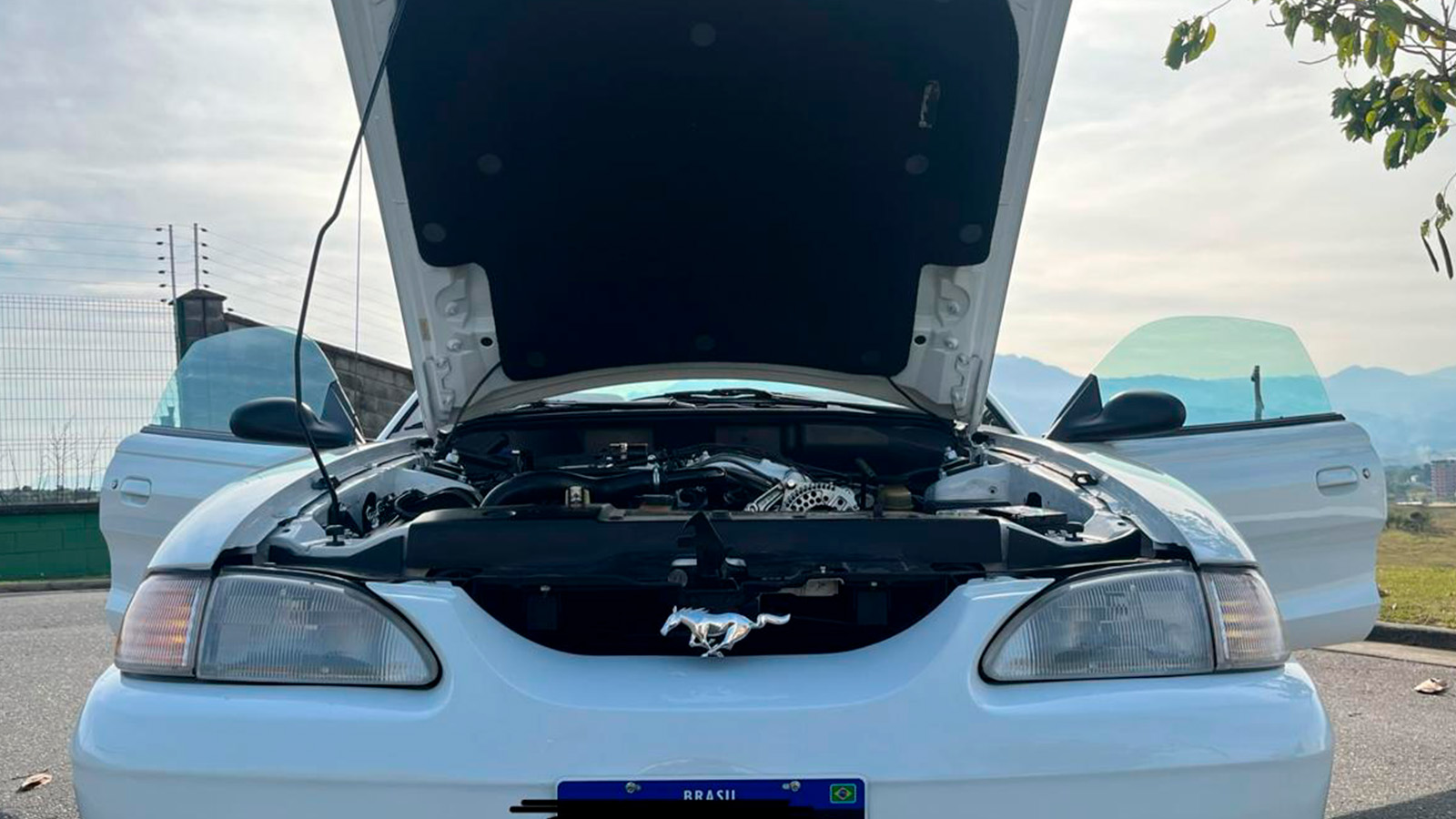 Mustang