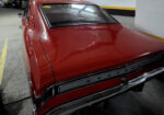 Opala Luxo