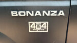 Bonanza