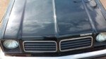 Chevette Hatch