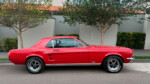 Mustang