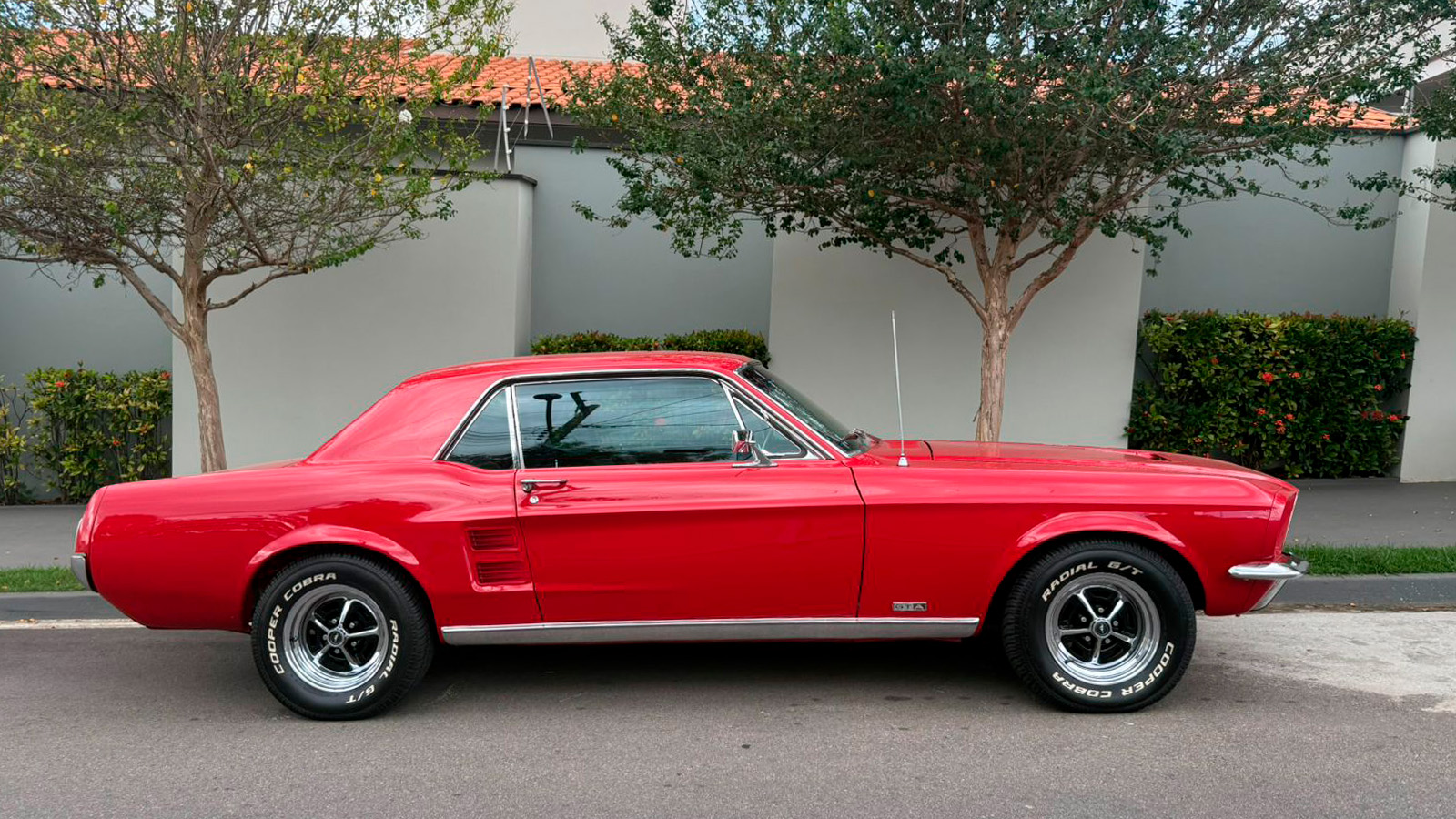 Mustang