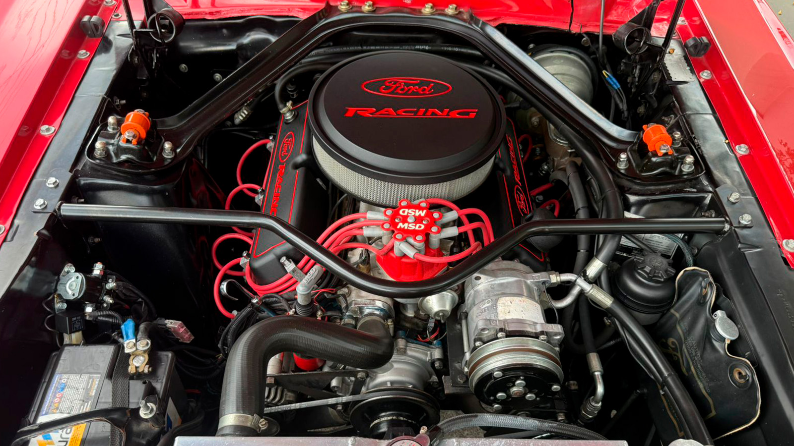 Mustang
